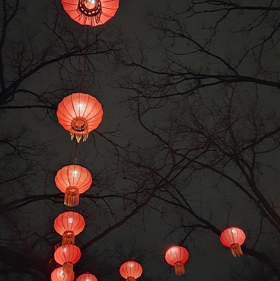 Meet your Posher, Claire - Picture 1 of 1